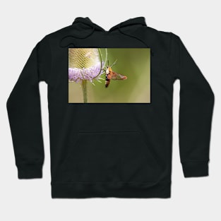 The Hummer Hoodie